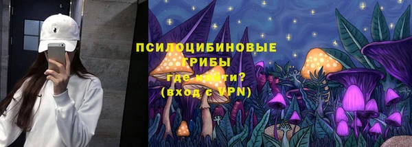 спиды Нея