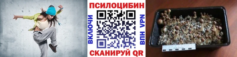 дарк нет клад  ссылка на мегу   Новосиль  Псилоцибиновые грибы Psilocybine cubensis 